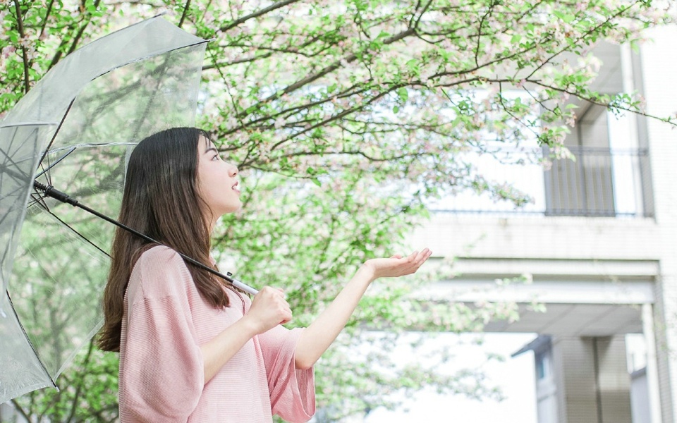 超清DJMV专辑合集